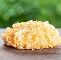 Tintura de Tremella 100cc - comprar online