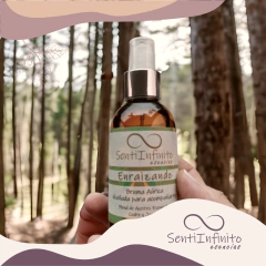 Bruma Enraizando en internet