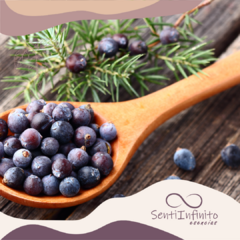 Aceite Esencial de Enebro - comprar online