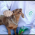 Growis Bastón Dental - comprar online
