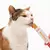 Catit Creamy x4 unidades - comprar online