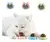 Juguete Bola Catnip para Gatos pared Hierba Gatera - comprar online
