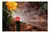 Tobera Hunter PSU-04 con Boquilla 17A para Riego Preciso - Cobertura de Hasta 5,8 m radio, Ajustable para Riego en internet