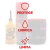 Kit Hogar Sin Ruidos - comprar online