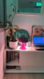 Champi (violeta) - tienda online