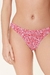 Pack Vedetina X 2 "Navidad" Art. PR77049A