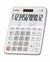 CALCULADORA CASIO DX-12B-WE