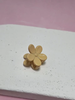 BROF2383 en internet