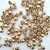 BOLITA LISA 5 MM x 50 UNIDADES - comprar online
