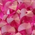 CRISTAL SW CORAZON FUCHSIA 18 MM X UNIDAD - comprar online