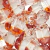 CRISTAL SW SYMBIOSIS CRYSTAL RED MAGMA 18,8 MM - comprar online