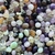 MIX PIEDRAS NATURALES IRREGULARES MIX 10 MM X 80 UNIDADES - comprar online