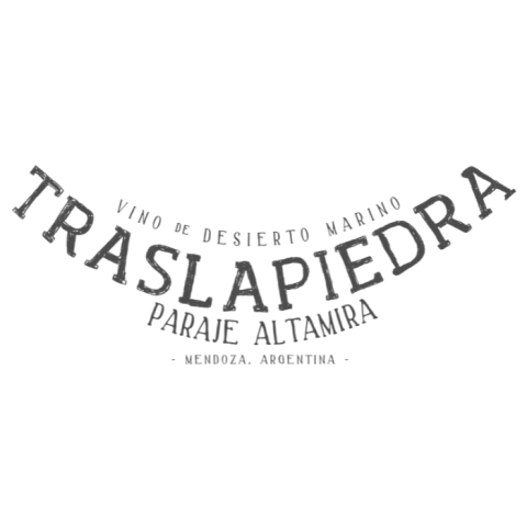 Marca 15 de CASA SHAPPIRO