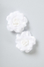 Duo de Camélias (Aluguel) - comprar online