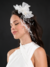 Imagem do Renda Floral (Aluguel)