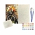 Kit Tela Numerada para Pintura Sinoart 40x50cm Amsterdam