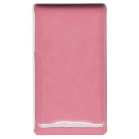 Aquarela Gansai Tambi Kuretake Alizarin Crimson 304