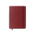 Planner Agenda 2024 Wire-o Cicero 14,8x21cm Classica Vermelho Quente