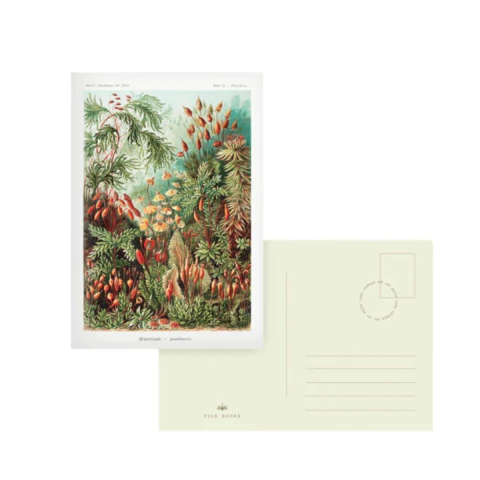 Cartao Postal Folk Books 11,5x16,5cm - Fundo do Mar