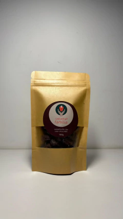 Castanha Chocolate 100g - comprar online