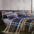 Sábana 2 1/2 Goldsun Percale 240H.