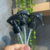 Valvula Spray Nano