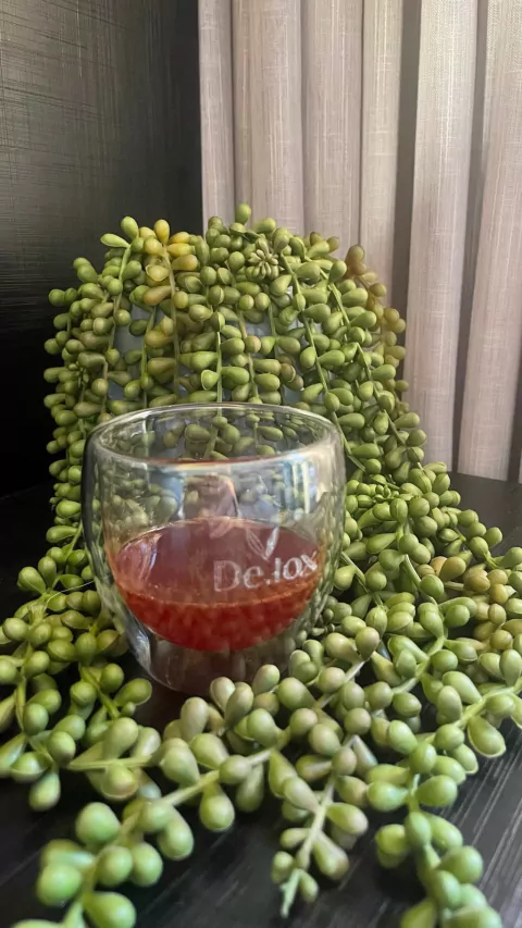 Copo para Shot parede Dupla De.tox