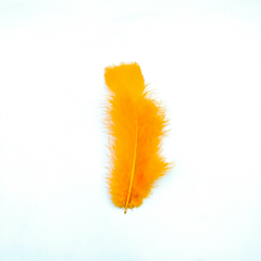 Plumas gallo chica en internet