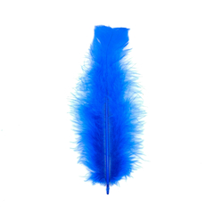 Plumas gallo chica