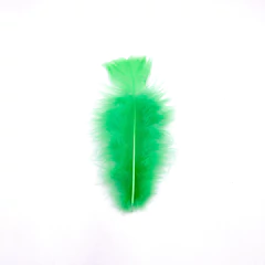 Plumas gallo chica - tienda online