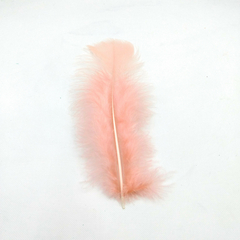 Plumas gallo chica