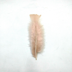 Plumas gallo chica - Punto Bijou