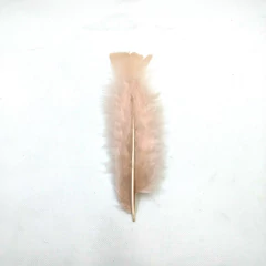 Plumas gallo chica - Punto Bijou