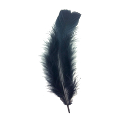Plumas gallo chica - tienda online