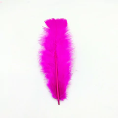 Imagen de Plumas gallo chica