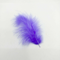 Imagen de Plumas marabu