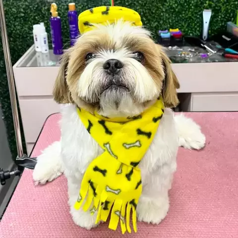 Boina Bonê Inverno ( 3 unidades)