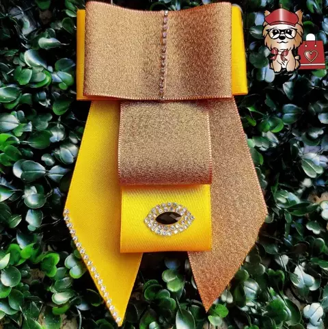 Laçarote Pet - Gargantilha Cetim Super Luxo - 05 Un. Sortida