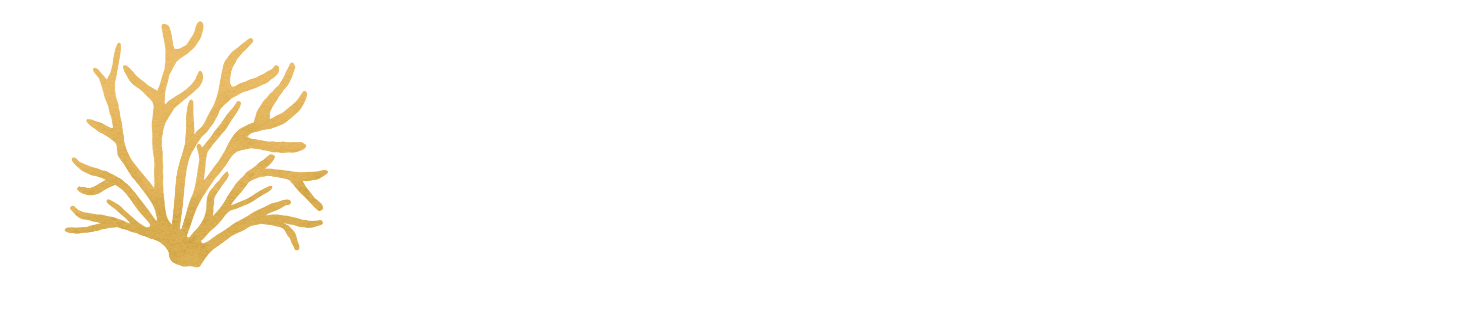Angela Werneck Acessórios