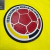 Camiseta Seleccion Colombia 2021 Jugador Manga Larga en internet