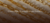 Imagem do banner rotativo pibo