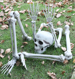 Esqueleto 5 Piezas Craneo Brazos Mano // Decoración Halloween en internet