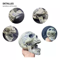 Cabeza Calavera Decoracion // Craneo Halloween - tienda online