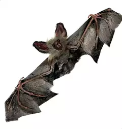 Colgante Murcielago Vampiro Decoracion Halloween
