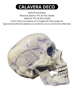 Cabeza Calavera Decoracion // Craneo Halloween - comprar online