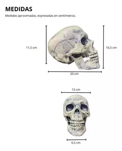 Cabeza Calavera Decoracion // Craneo Halloween en internet