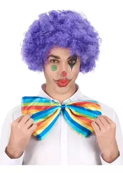 Peluca Payaso Rulos Chico X 1 Afro Colores Cotillon Disfraz - Tienda CyP