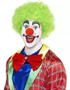 Imagen de Peluca Payaso Rulos Chico X 1 Afro Colores Cotillon Disfraz