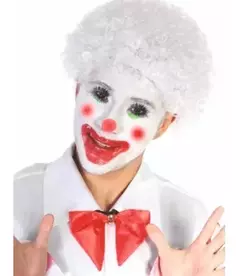 Peluca Payaso Rulos Chico X 1 Afro Colores Cotillon Disfraz en internet