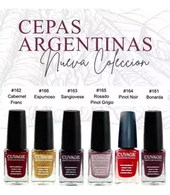 Combo Esmaltes De Uñas Tradicional 12 Articulos Top Coat Removedor - comprar online